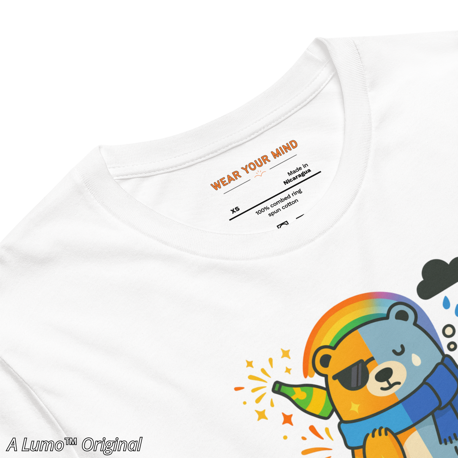 "Illustration of a bear split into two moods — one side cheerful with sparkles and a party popper, the other side sad with rain and a tear. Titled 'BipolarBear' in gradient orange and blue text.